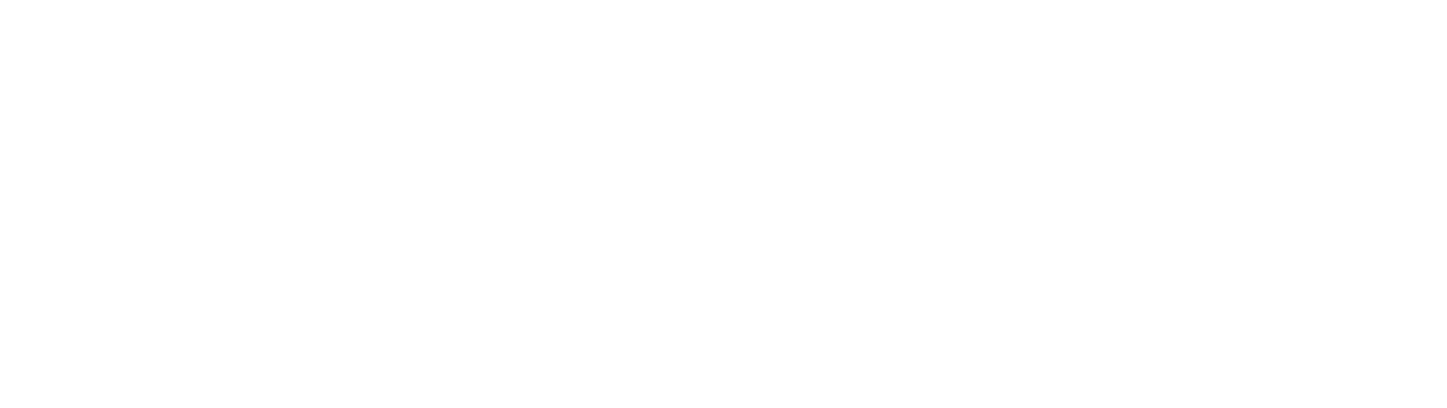 DJ Ruckus