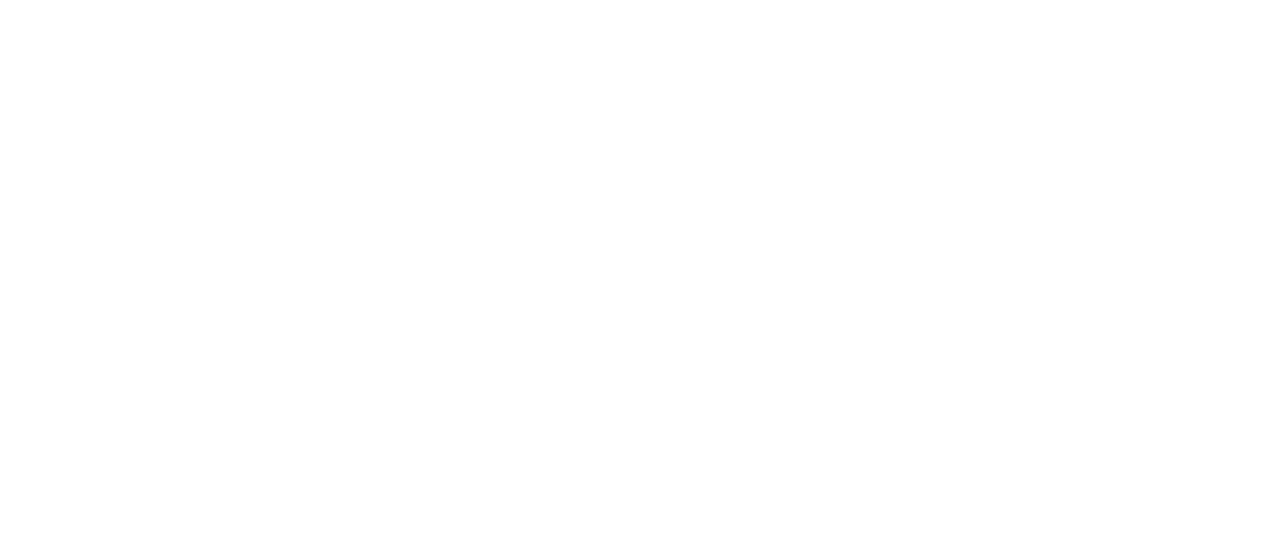 DJ Politik